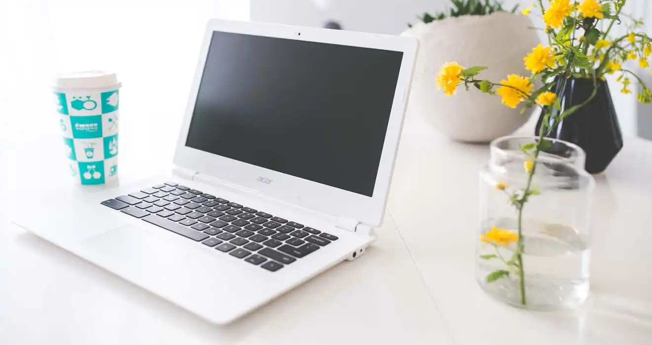 Ремонт ноутбуков Acer в Горелово