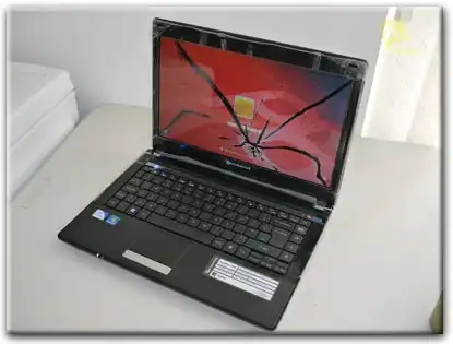 Замена матрицы Packard Bell в Горелово